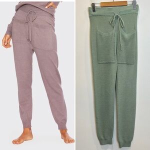 Beach Riot Kyle Knit Jogger Pants Mint Green